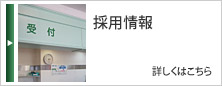 採用情報