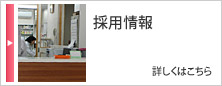 採用情報